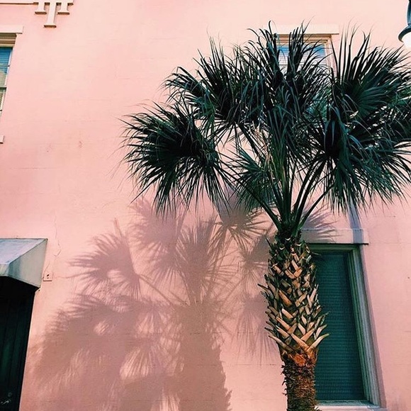 Meet your Posher, Katrina - Picture 1 of 2